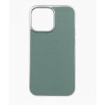 Mint Frame iPhone Case - 16 Pro Max